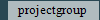 projectgroup